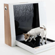 Imagen para el artículo titulado Este baño automatizado para perros recoge la caca de tu mascota por sí solo